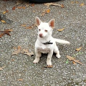 Meet your Posher, Haley